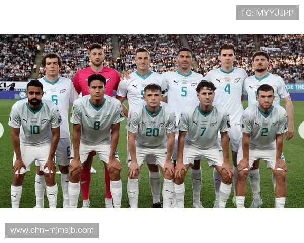 2026美加墨世界杯球队分档情况全面介绍及各档球队实力对比 2026美加墨世界杯球队分档情况全面介绍及各档球队实力对比