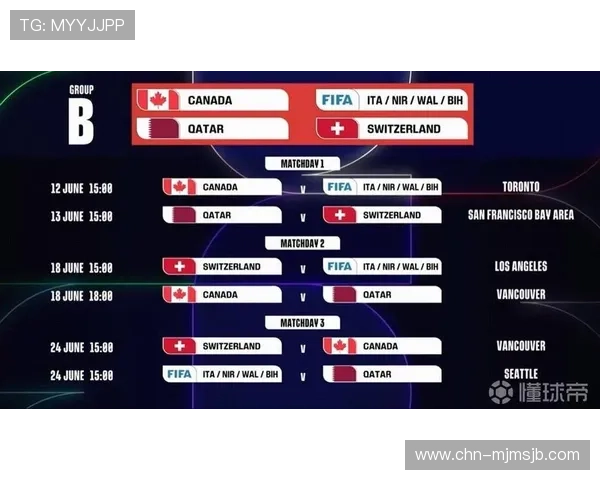 2026年世界杯48强名单最新公布，全面解析各国晋级情况与赛程安排